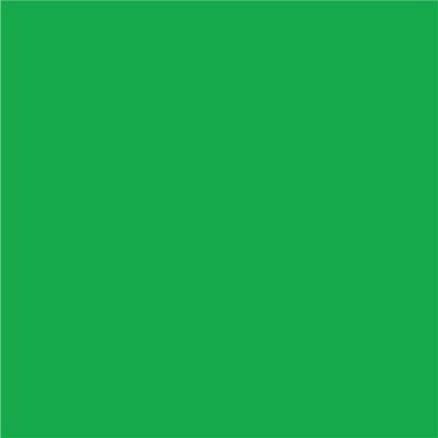 Cricut Infusible Ink Transfer Sheets 2-pack (Bright Green)#2