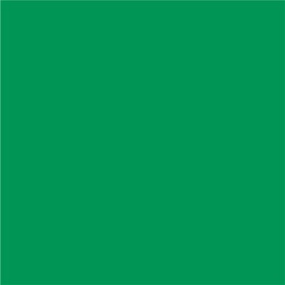 Cricut Smart Iron-on 33x91cm 1 sheet (Grass)#2