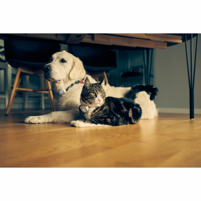 Lilcat Lilcat 2 GPS-Tracker för Katter#5