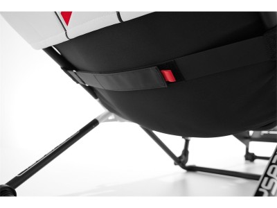 Playseat® Challenge DD - F1 Edition#4