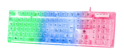 Deltaco Gaming DK250, transparent tangentbord med membranbrytare och Rainbow-LED#1