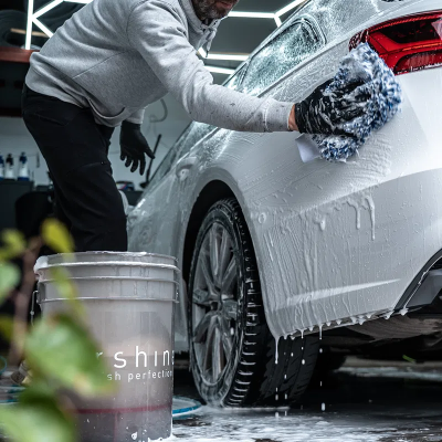 tershine Tvätthandske (One Size)#2