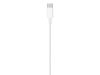 Apple USB-C till Lightning-kabel (1 m) - Vit#4