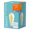 Ledvance Smart+ BT Filament Edison Gold E27 Dimmable 230V HomeKit#1