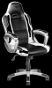 Trust GXT 705W Ryon gamingstol vit Maxvikt 150 kg, klass 4 gaslift, 360° justering, ergonomisk#1
